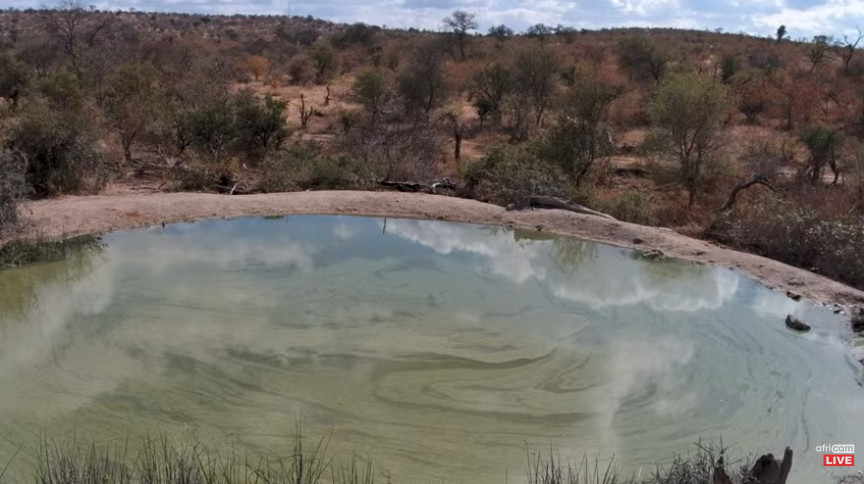 Rosie's Pan - Greater Kruger National Park